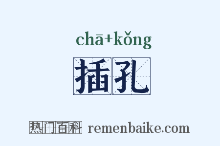插孔是什么意思的图片